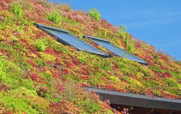 Goffs Oak living roof systems